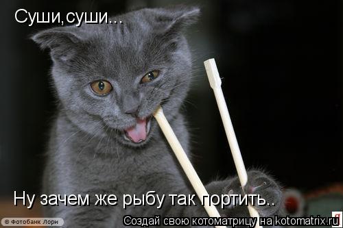 Суши,суши... Ну зачем же рыбу так портить..... Котоматрица: Суши,суши... Ну зачем же рыбу так портить..
