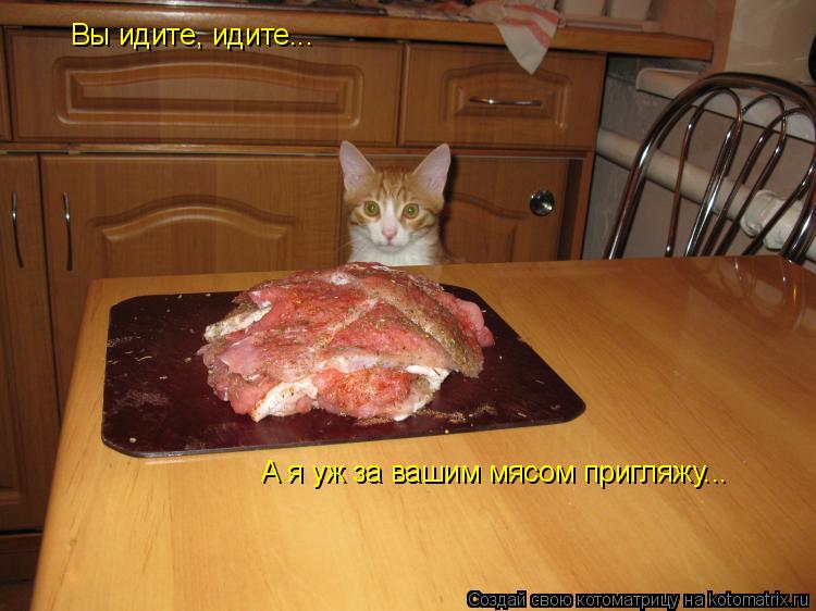 Вы идите, идите... А я уж за вашим мясом пригляжу...... Котоматрица: Вы идите, идите... А я уж за вашим мясом пригляжу...