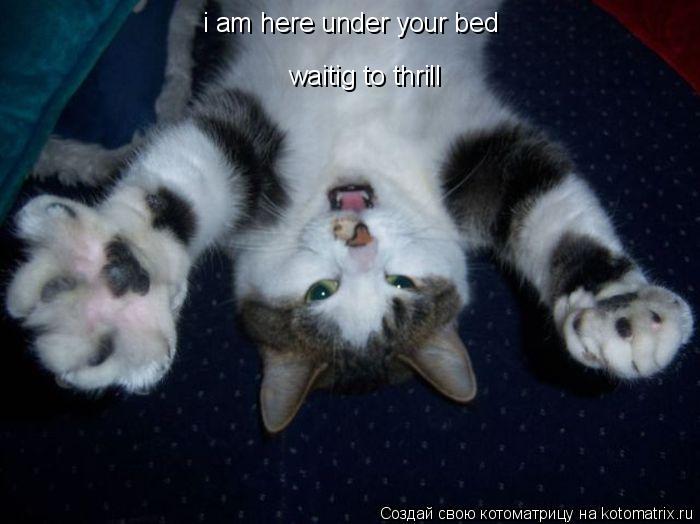 waitig to thrill i am here under your bed... Котоматрица: waitig to thrill i am here under your bed
