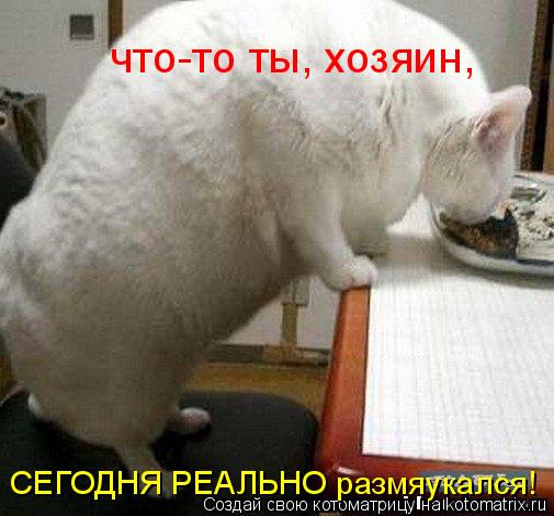 что-то ты, хозяин, СЕГОДНЯ РЕАЛЬНО размяукался!... Котоматрица: что-то ты, хозяин, СЕГОДНЯ РЕАЛЬНО размяукался!