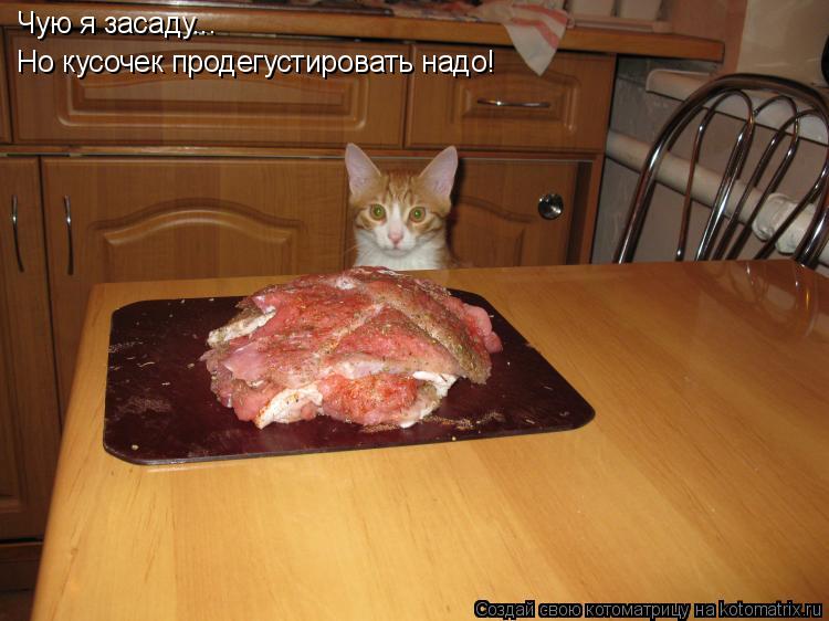 Чую я засаду... Но кусочек продегустировать надо!... Котоматрица: Чую я засаду... Но кусочек продегустировать надо!