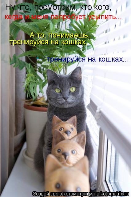 Ну что, посмотрим, кто кого, когда и меня попробует усыпить... А то, понимаешь, тренируйся на кошк... Котоматрица: Ну что, посмотрим, кто кого, когда и меня попробует усыпить... А то, понимаешь, тренируйся на кошках, тренируйся на кошках...