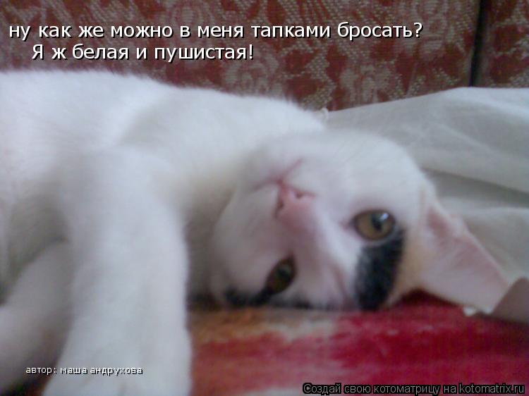 автор: маша андрухова ну как же можно в меня тапками бросать? Я ж белая и пушистая!... Котоматрица: автор: маша андрухова ну как же можно в меня тапками бросать? Я ж белая и пушистая!