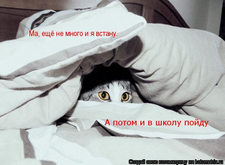 Ма, ещё не много и я встану. А потом и в школу пойду... Котоматрица: Ма, ещё не много и я встану. А потом и в школу пойду