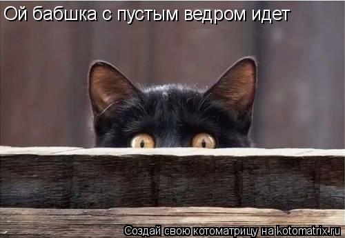 Ой бабшка с пустым ведром идет... Котоматрица: Ой бабшка с пустым ведром идет