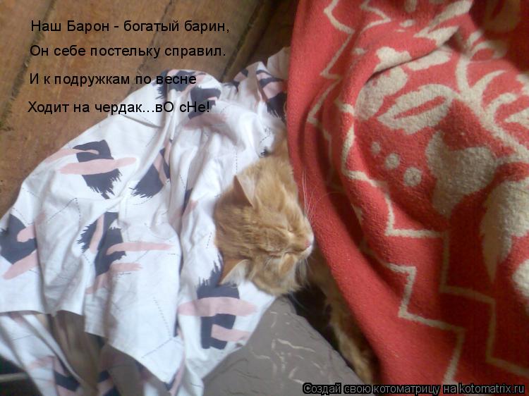 Наш Барон - богатый барин, Он себе постельку справил. И к подружкам по весне Ходит на чердак...вО сНе... Котоматрица: Наш Барон - богатый барин, Он себе постельку справил. И к подружкам по весне Ходит на чердак...вО сНе!