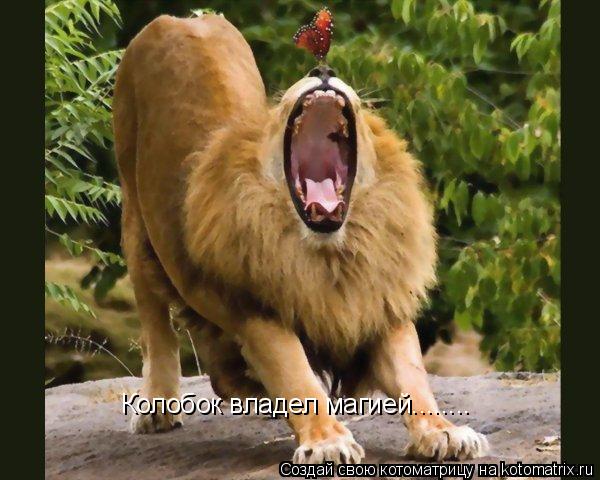 Колобок владел магией........... Котоматрица: Колобок владел магией........