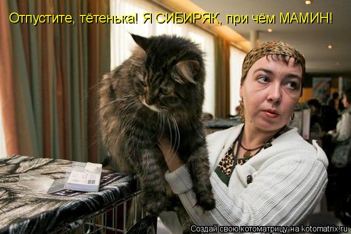 Котоматрица: Отпустите, тётенька! Я СИБИРЯК, при чём МАМИН!