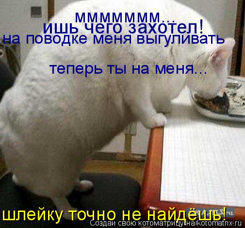 ишь чего захотел! на поводке меня выгуливать теперь ты на меня... шлейку точно не найдёшь! ммммммм...... Котоматрица: ишь чего захотел! на поводке меня выгуливать теперь ты на меня... шлейку точно не найдёшь! ммммммм...