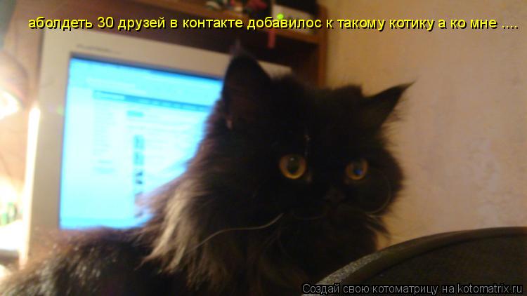 аболдеть 30 друзей в контакте добавилос к такому котику а ко мне ....... Котоматрица: аболдеть 30 друзей в контакте добавилос к такому котику а ко мне ....