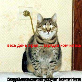 весь день жрал... зарядка кончилась... Котоматрица: весь день жрал... зарядка кончилась