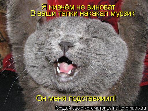 Я нивчём не виноват В ваши тапки накакал мурзик Он меня подставииил!... Котоматрица: Я нивчём не виноват В ваши тапки накакал мурзик Он меня подставииил!