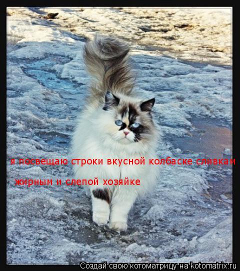Котоматрица: я посвещаю строки вкусной колбаске сливкам  жирным и слепой хозяйке