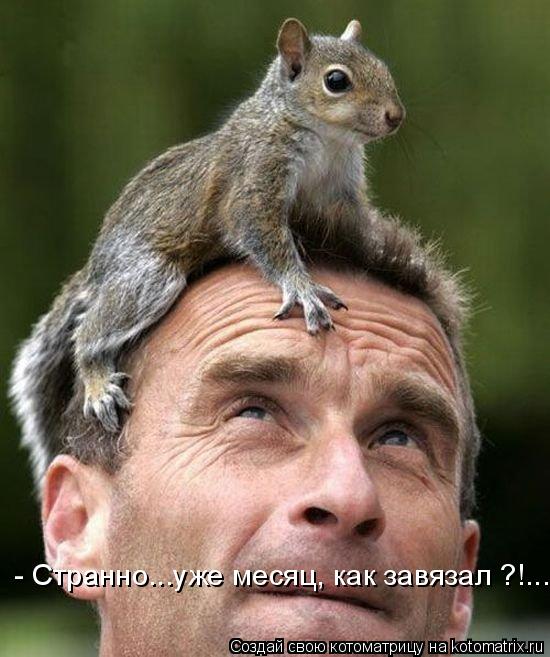 - Странно...уже месяц, как завязал ?!...... Котоматрица: - Странно...уже месяц, как завязал ?!...