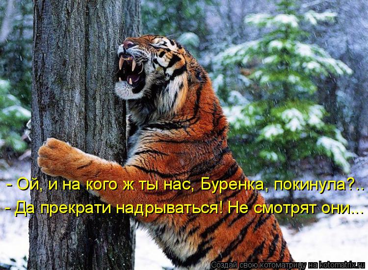 Котоматрица: - Ой, и на кого ж ты нас, Буренка, покинула?.. - Да прекрати надрываться! Не смотрят они...