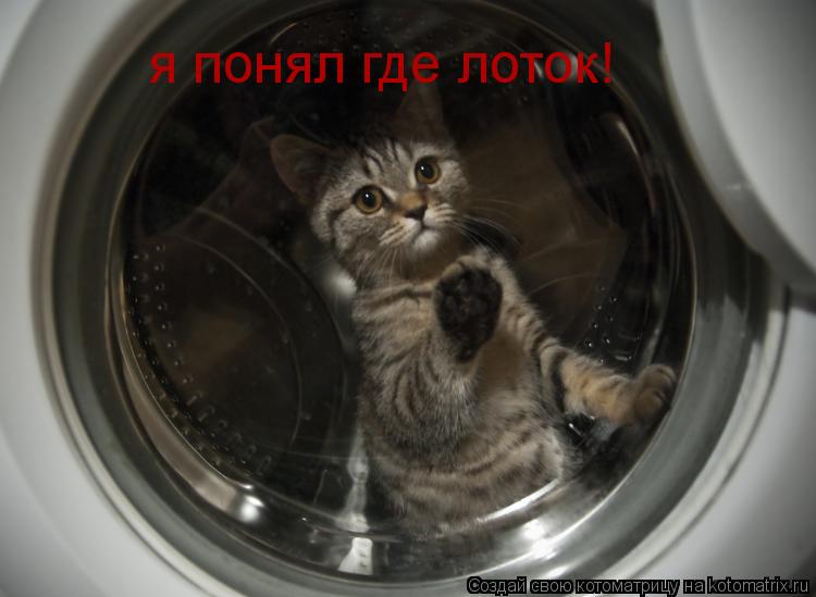 Котоматрица: я понял где лоток!