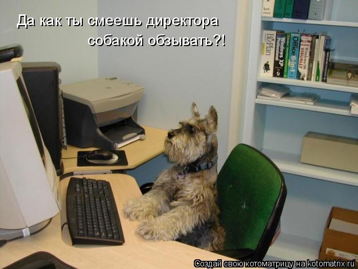 Да как ты смеешь директора собакой обзывать?!... Котоматрица: Да как ты смеешь директора собакой обзывать?!