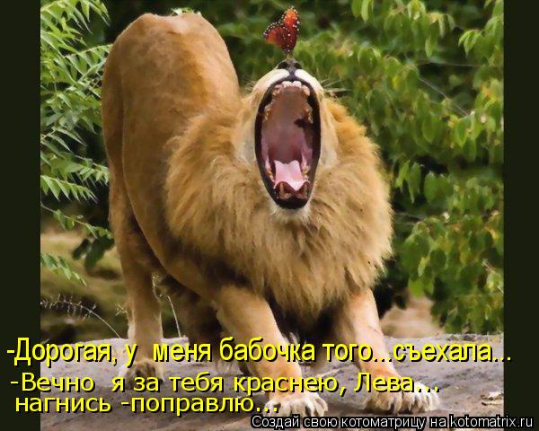 -Дорогая, у меня бабочка того...съехала... -Вечно я за тебя краснею, Лева... нагнись -поправлю...... Котоматрица: -Дорогая, у меня бабочка того...съехала... -Вечно я за тебя краснею, Лева... нагнись -поправлю...