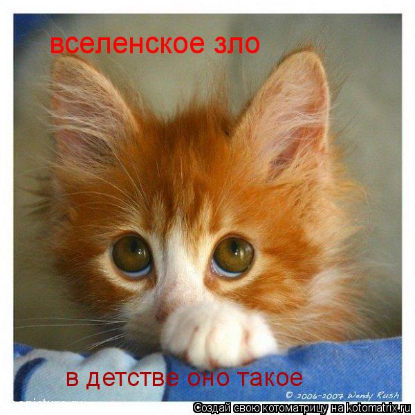 вселенское зло в детстве оно такое... Котоматрица: вселенское зло в детстве оно такое