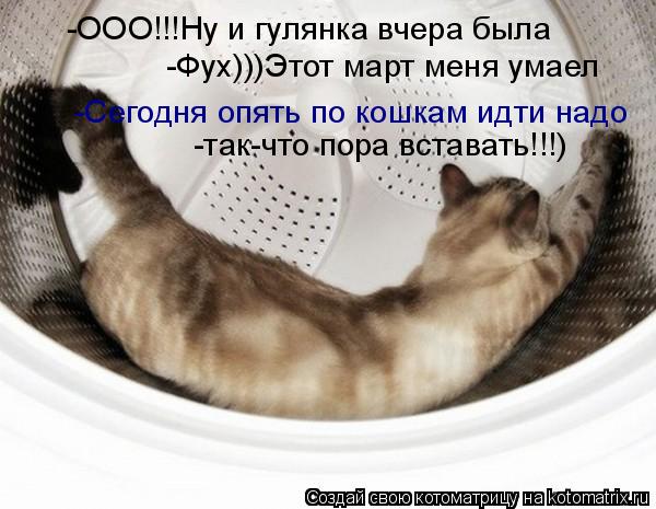 -ООО!!!Ну и гулянка вчера была -Фух)))Этот март меня умаел -Сегодня опять по кошкам идти надо -так-чт... Котоматрица: -ООО!!!Ну и гулянка вчера была -Фух)))Этот март меня умаел -Сегодня опять по кошкам идти надо -так-что пора вставать!!!)