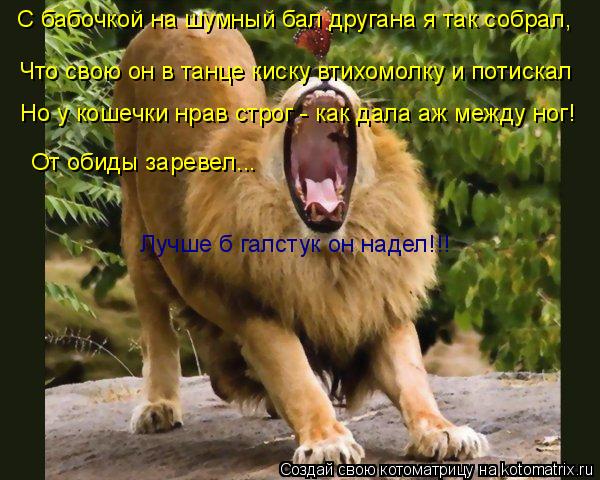 С бабочкой на шумный бал другана я так собрал, Что свою он в танце киску втихомолку и потискал Но у к... Котоматрица: С бабочкой на шумный бал другана я так собрал, Что свою он в танце киску втихомолку и потискал Но у кошечки нрав строг - как дала аж между ног!