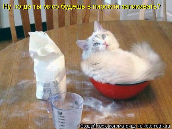 Ну, когда ты мясо будешь в пирожки запихивать?... Котоматрица: Ну, когда ты мясо будешь в пирожки запихивать?