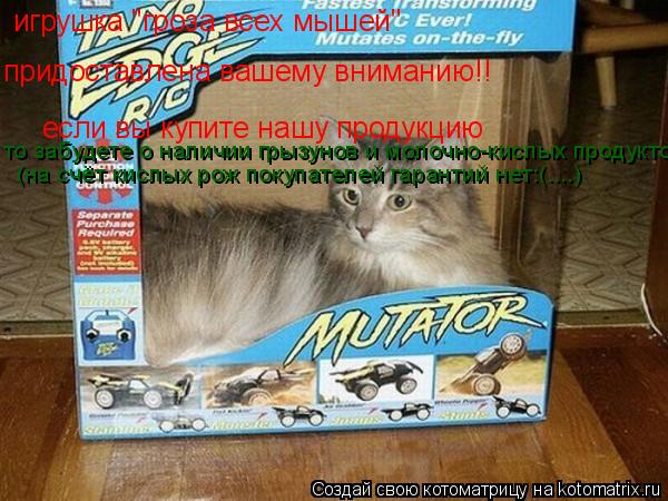Котоматрица: игрушка "гроза всех мышей"  придоставлена вашему вниманию!! если вы купите нашу продукцию то забудете о наличии грызунов и молочно-кислых пр