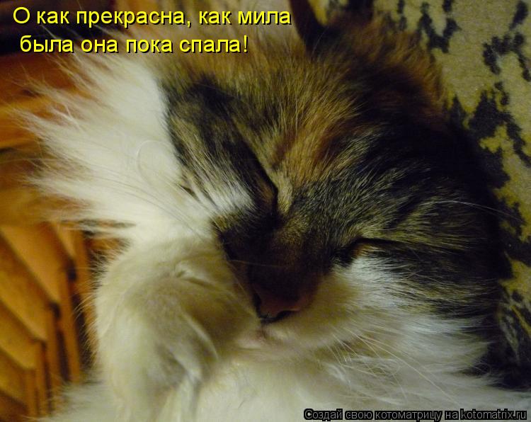 О как прекрасна, как мила была она пока спала!... Котоматрица: О как прекрасна, как мила была она пока спала!