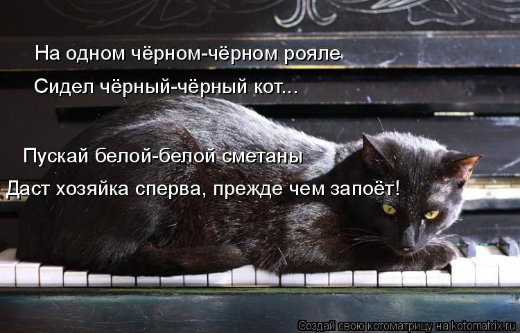 На одном чёрном-чёрном рояле Сидел чёрный-чёрный кот... Пускай белой-белой сметаны Даст хозяйка сперв... Котоматрица: На одном чёрном-чёрном рояле Сидел чёрный-чёрный кот... Пускай белой-белой сметаны Даст хозяйка сперва, прежде чем запоёт!