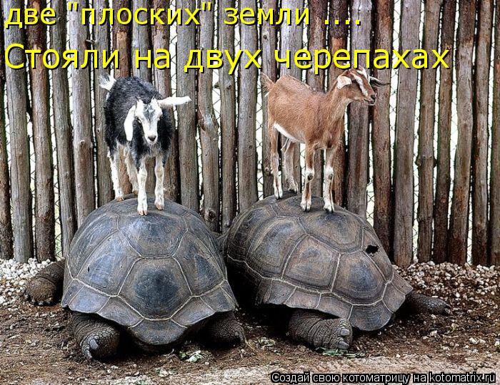 Котоматрица: две "плоских" земли .... Стояли на двух черепахах