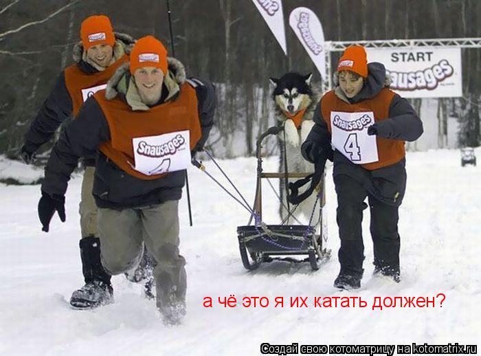 а чё это я их катать должен?... Котоматрица: а чё это я их катать должен?