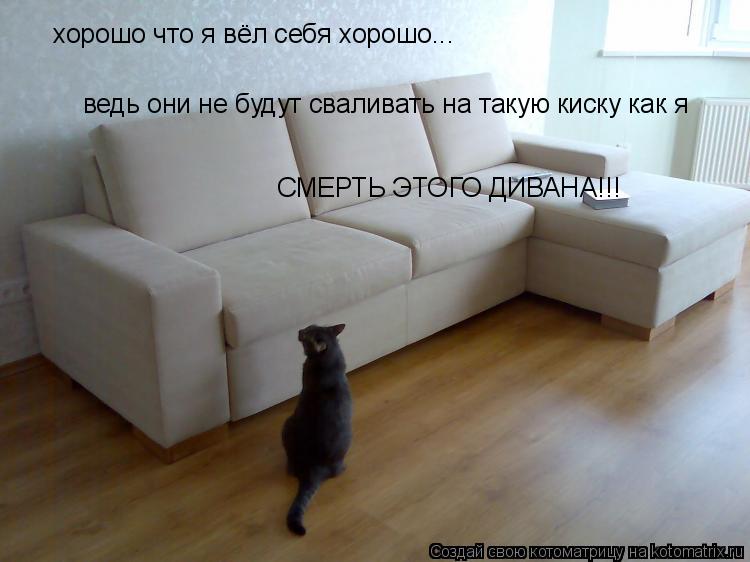 хорошо что я вёл себя хорошо... ведь они не будут сваливать на такую киску как я СМЕРТЬ ЭТОГО ДИВАНА!... Котоматрица: хорошо что я вёл себя хорошо... ведь они не будут сваливать на такую киску как я СМЕРТЬ ЭТОГО ДИВАНА!!!