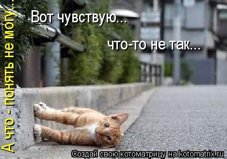 А что - понять не могу... Вот чувствую... что-то не так...... Котоматрица: А что - понять не могу... Вот чувствую... что-то не так...