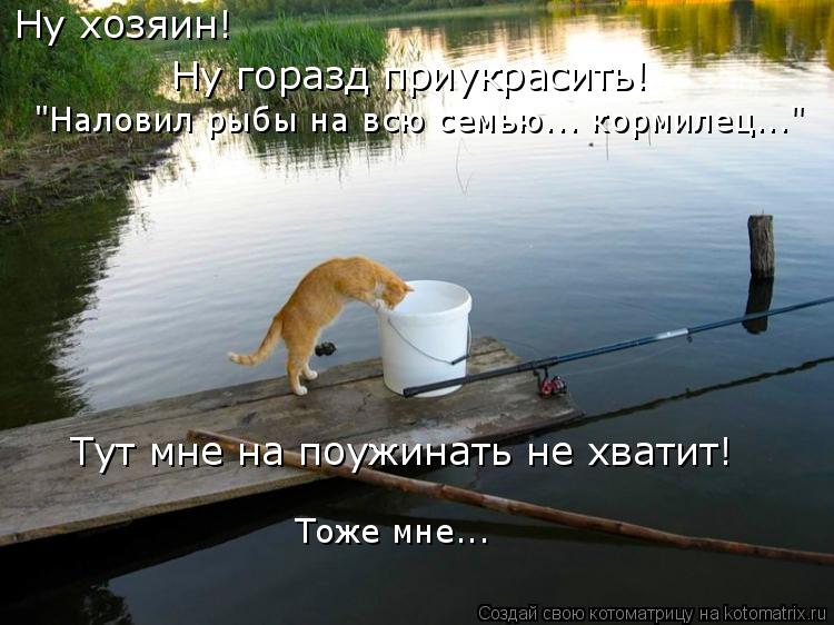 Ну хозяин! Ну горазд приукрасить! "Наловил рыбы на всю семью... кормилец..." Тут мне на поужинать не ... Котоматрица: Ну хозяин! Ну горазд приукрасить! "Наловил рыбы на всю семью... кормилец..." Тут мне на поужинать не хватит! Тоже мне...