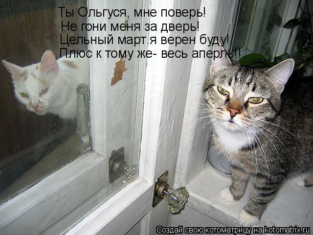 Ты Ольгуся, мне поверь! Не гони меня за дверь! Цельный март я верен буду! Плюс к тому же- весь аперль... Котоматрица: Ты Ольгуся, мне поверь! Не гони меня за дверь! Цельный март я верен буду! Плюс к тому же- весь аперль!!