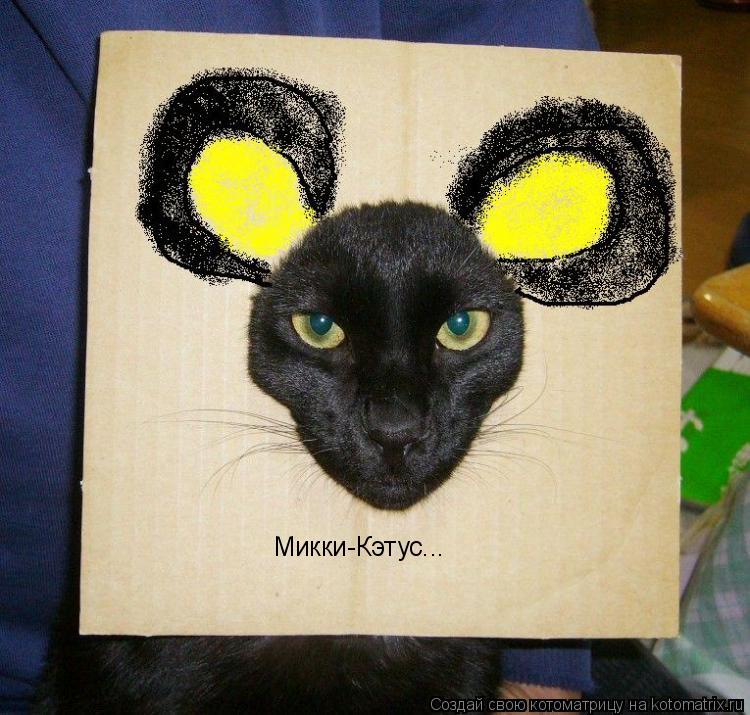 Микки-Кэтус...... Котоматрица: Микки-Кэтус...