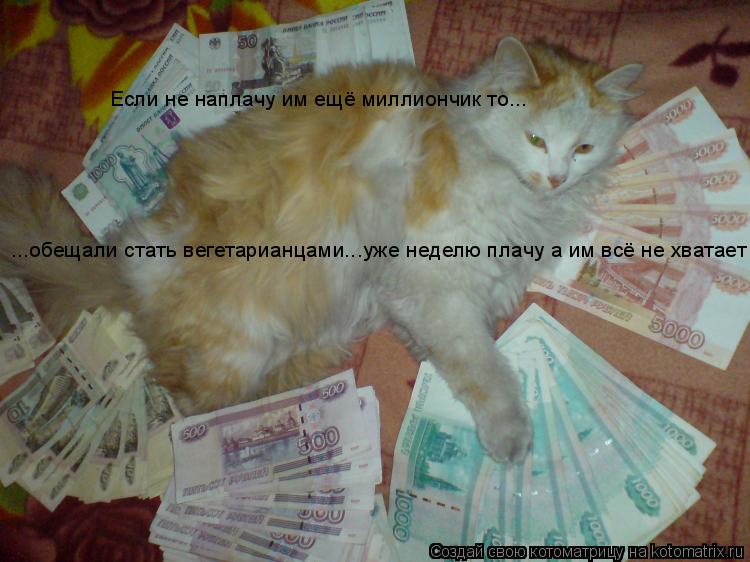 Если не наплачу им ещё миллиончик то... ...обещали стать вегетарианцами...уже неделю плачу а им всё ... Котоматрица: Если не наплачу им ещё миллиончик то... ...обещали стать вегетарианцами...уже неделю плачу а им всё не хватает