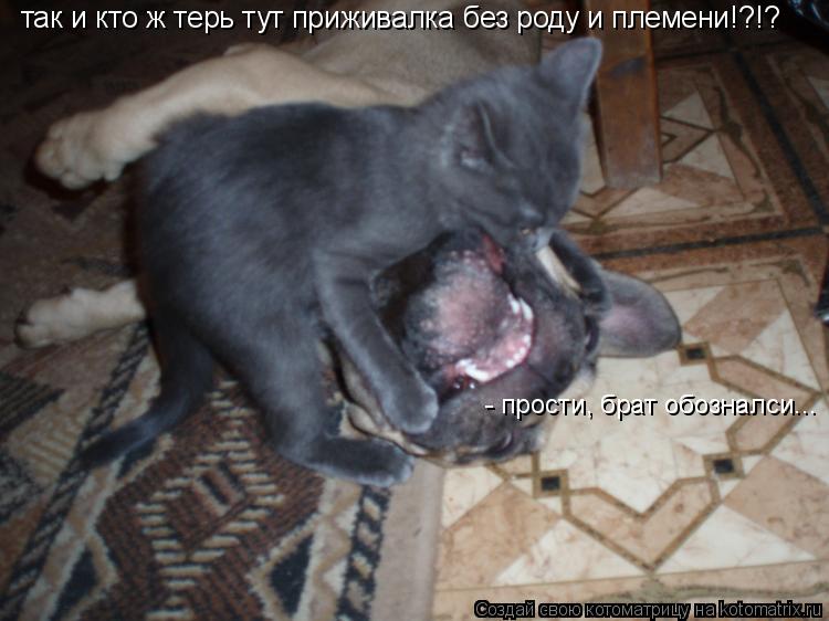 так и кто ж терь тут приживалка без роду и племени!?!? - прости, брат обозналси...... Котоматрица: так и кто ж терь тут приживалка без роду и племени!?!? - прости, брат обозналси...