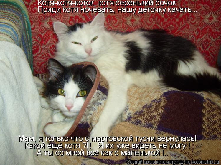 Приди котя ночевать, нашу деточку качать... Котя-котя-коток, котя серенький бочок Мам, я только что с... Котоматрица: Приди котя ночевать, нашу деточку качать... Котя-котя-коток, котя серенький бочок Мам, я только что с мартовской тусни вернулась! Какой ещё ко