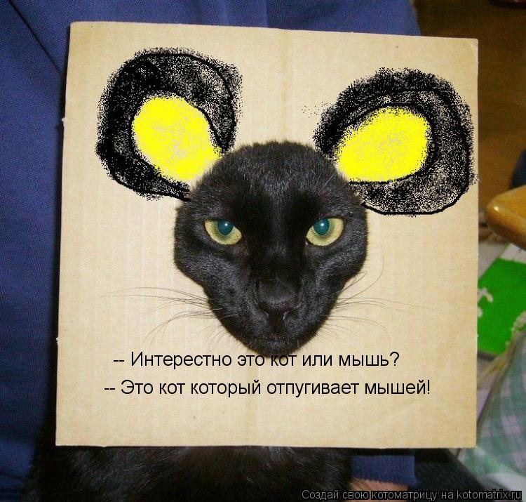 Котоматрица: -- Интерестно это кот или мышь? --или мышь? -- Это кот который отпугивает мышей!