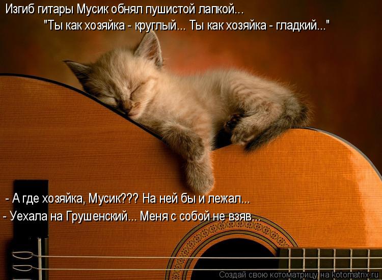 Котоматрица: Изгиб гитары Мусик обнял пушистой лапкой... "Ты как хозяйка - круглый... Ты как хозяйка - гладкий..." - А где хозяйка, Мусик??? На ней бы и лежал... -