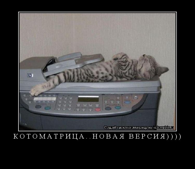 Котоматрица: КОТОМАТРИЦА..НОВАЯ ВЕРСИЯ)))) 