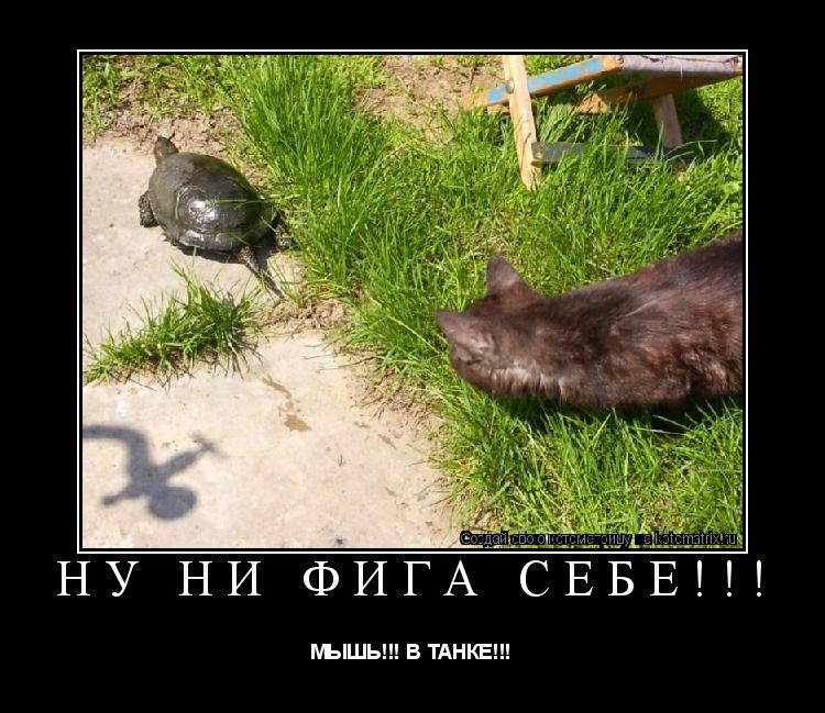 Котоматрица: НУ НИ ФИГА СЕБЕ!!! МЫШЬ!!! В ТАНКЕ!!!