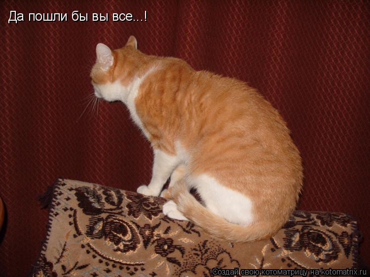 Да пошли бы вы все...!... Котоматрица: Да пошли бы вы все...!