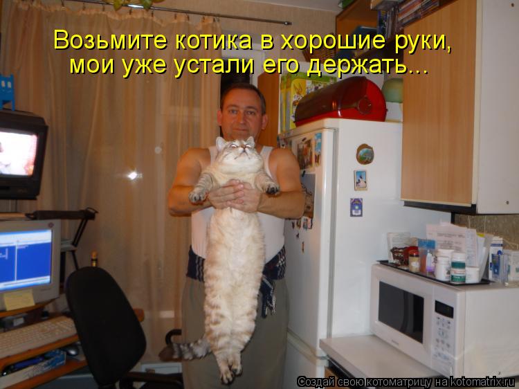Возьмите котика в хорошие руки, мои уже устали его держать...... Котоматрица: Возьмите котика в хорошие руки, мои уже устали его держать...