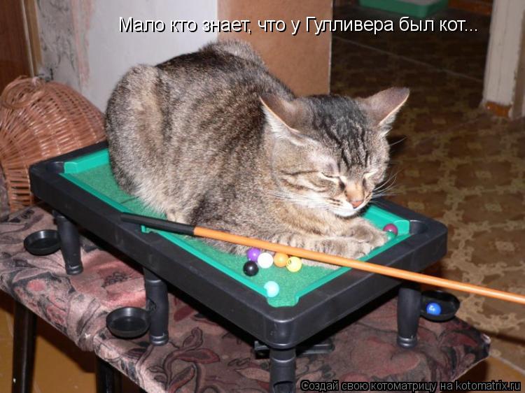 Мало кто знает, что у Гулливера был кот...... Котоматрица: Мало кто знает, что у Гулливера был кот...