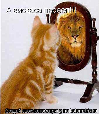 А вискаса переел!!!... Котоматрица: А вискаса переел!!!