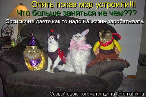 Опять показ мод устроили!!! Что больше заняться не чем??? Сосиски не даете,как то надо на жизнь зароб... Котоматрица: Опять показ мод устроили!!! Что больше заняться не чем??? Сосиски не даете,как то надо на жизнь заробатывать.