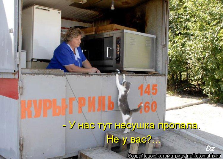 - У нас тут несушка пропала. Не у вас?...... Котоматрица: - У нас тут несушка пропала. Не у вас?...