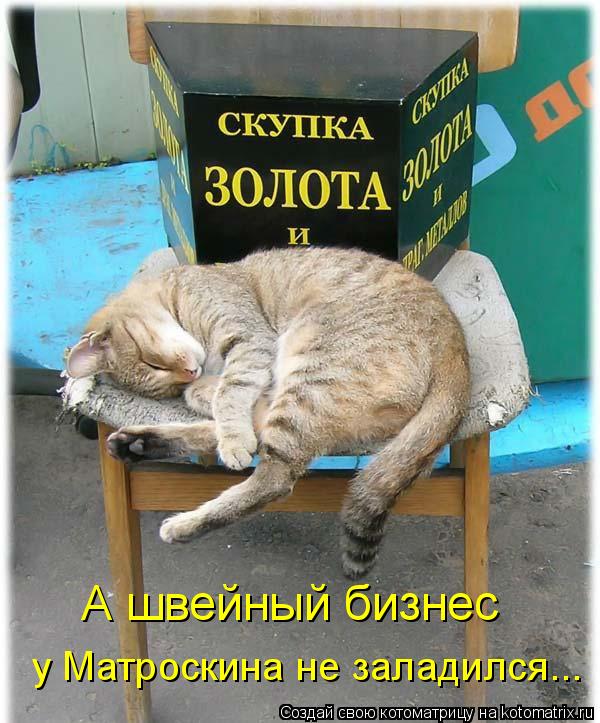 Котоматрица: А швейный бизнес у Матроскина не заладился...